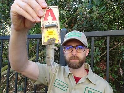 Saint Petersburg pest control